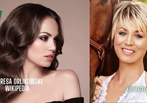 theresa orlikowski wikipedia
